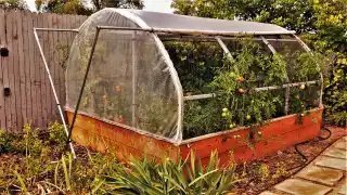 Prepare herbs for winter