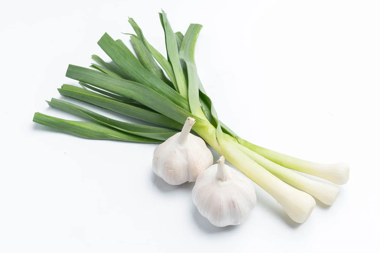 Close-up of green garlic