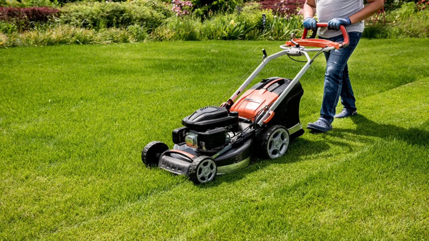 A person mowing a lawn with a sharp mower