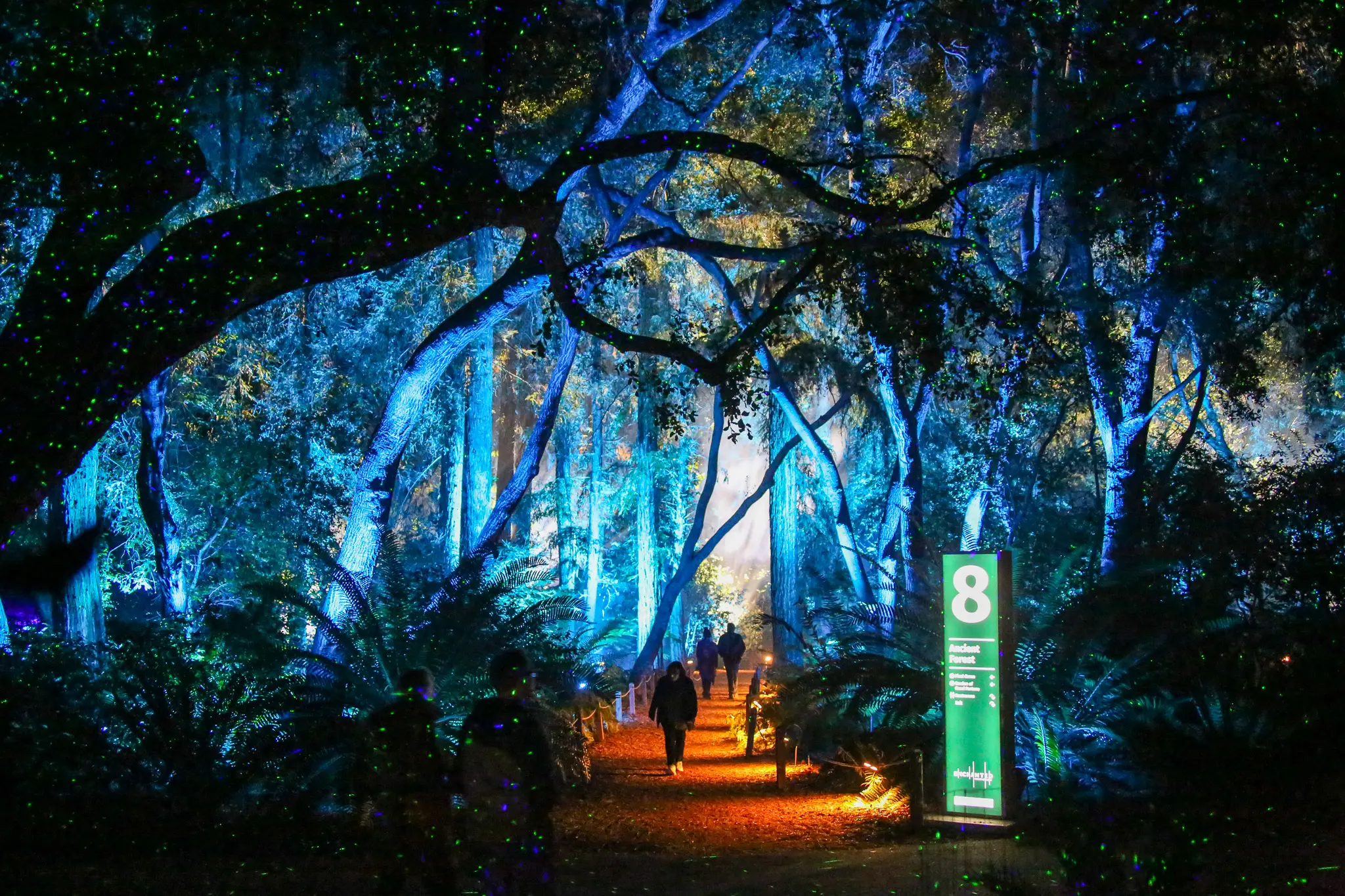 Enchanted Forest of Light at Descanso Gardens - La Cañada Flintridge, California